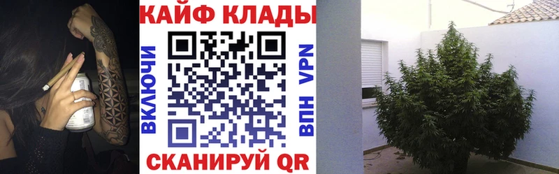 Магазин наркотиков Курчалой A PVP  АМФ  ГАШИШ  ссылка на мегу ONION  МЕФ 