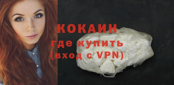 дживик Новодвинск