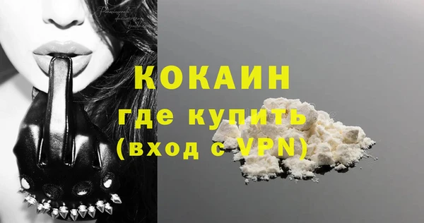 дживик Новодвинск