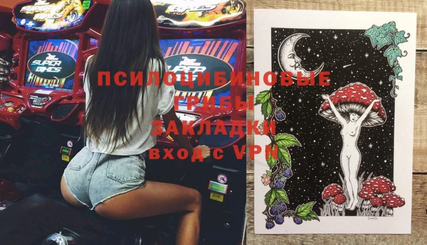 дживик Новодвинск