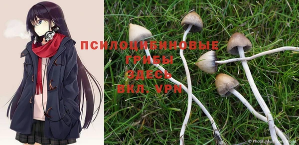 дживик Новодвинск