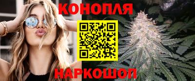 метадон Гай