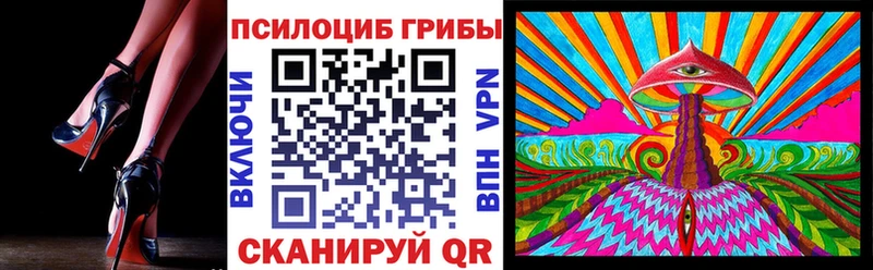 Псилоцибиновые грибы MAGIC MUSHROOMS  маркетплейс официальный сайт  Курчалой 