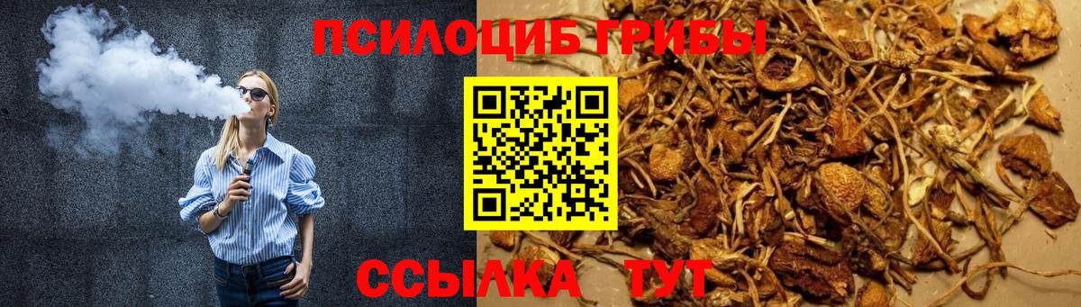 Галлюциногенные грибы ЛСД Курчалой