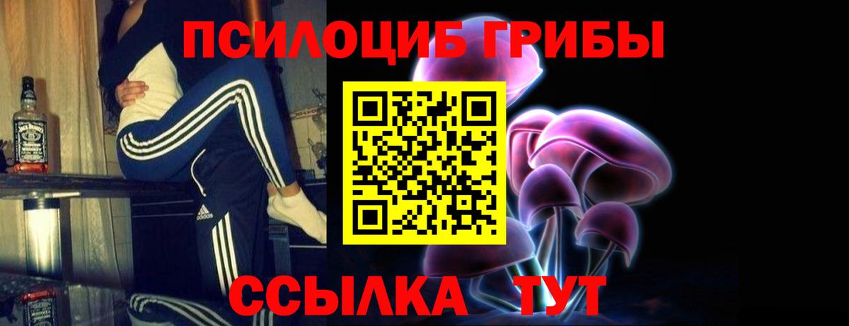 Курчалой  Галлюциногенные грибы мицелий  Галлюциногенные грибы Cubensis  Вход с VPN 