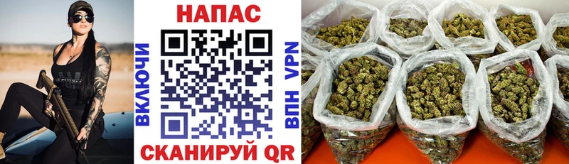 Канабис Amnesia дарк нет клад Курчалой купить наркотик